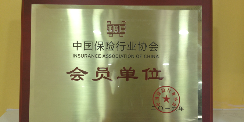 中国保险行业协会会员